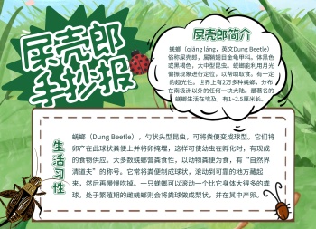 绿色昆虫屎壳郎科普宣传介绍小报手抄报