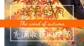 简约系充满收获季节的金黄色秋天公众号封面