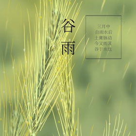谷雨树叶雨滴绿色清新简约公众号封面配图