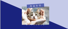 有品生活 懂生活让你更可爱 有品生活撞色品质日常公众号封面
