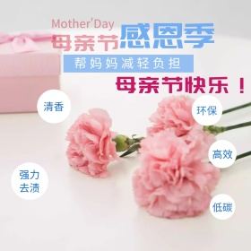 母亲节简约蓝色洗衣液淘宝主图直通车