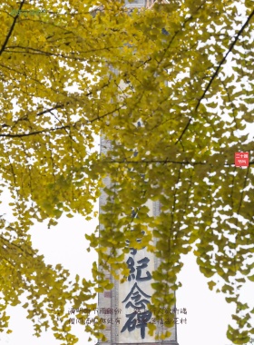 传统节气清明节简约海报