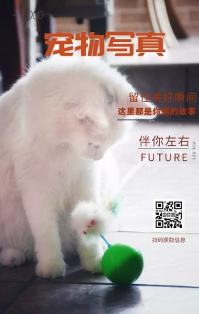 宠物写真宠物摄影日签
