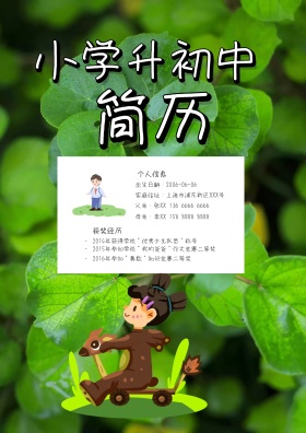 卡通小学升初中简历