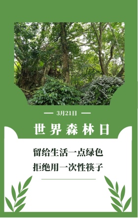 世界森林日 3月21日 留给生活一点绿色 拒绝用一次性筷子 世界森林日简约公益手机海报