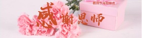 唯美清新书花朵感恩教师节