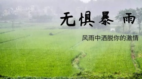 暴雨创意无惧风雨公众号封面模版