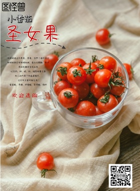 新鲜果蔬圣女果欢迎选购宣传海报