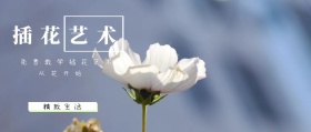 插花艺术 精致生活 从花开始 免费教学插花艺术 文艺清新花店促销公众号封面