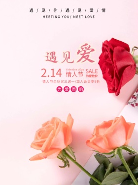 遇见爱214情人节唯美促销海报