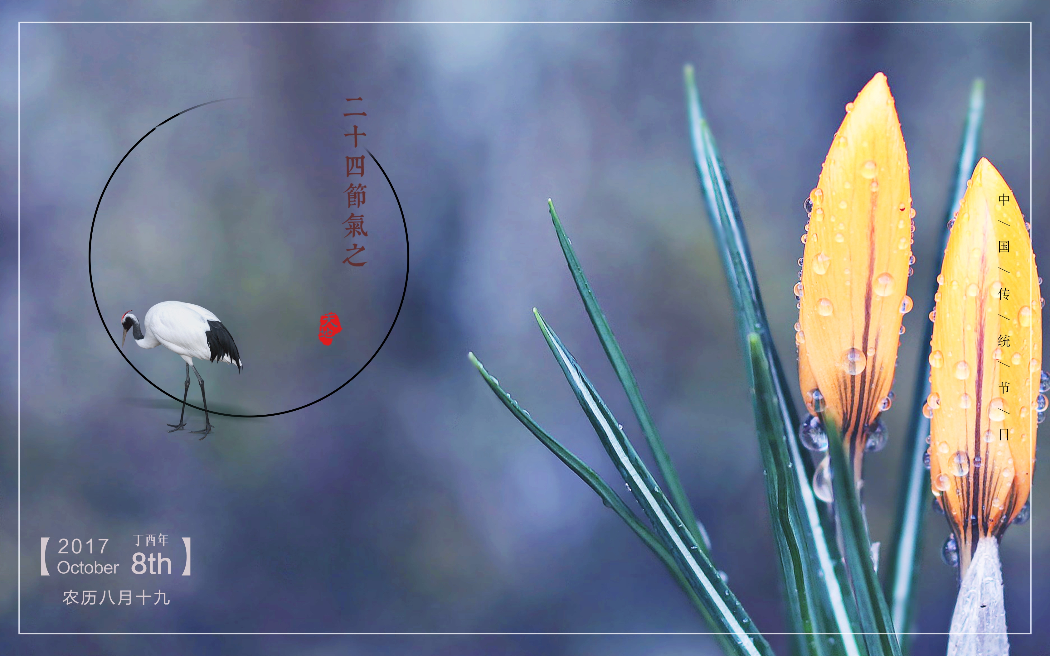 花苞