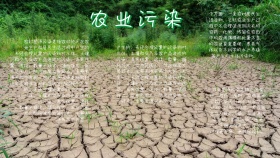 简约宣传环保农业污染手抄报