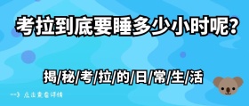 简约考拉睡觉多少小时公众号封面