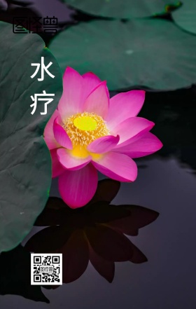 养生 水疗