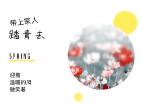 迎着 踏青去 微笑着 带上家人 温暖的风 SPRING 春天春季春游景色油菜花公众号配图