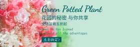 绿色简约清新盆栽促销banner