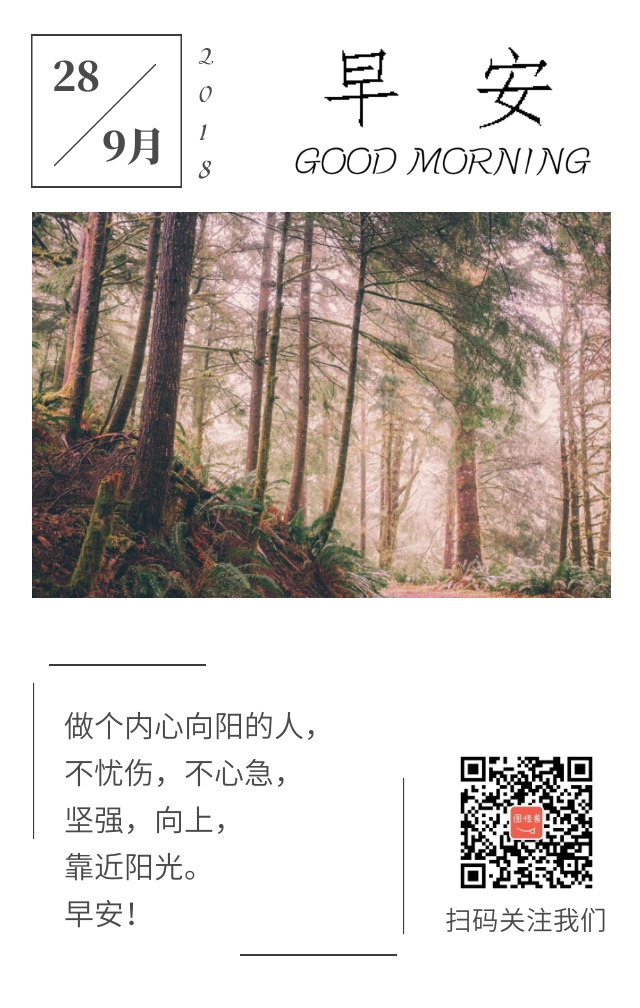 树林