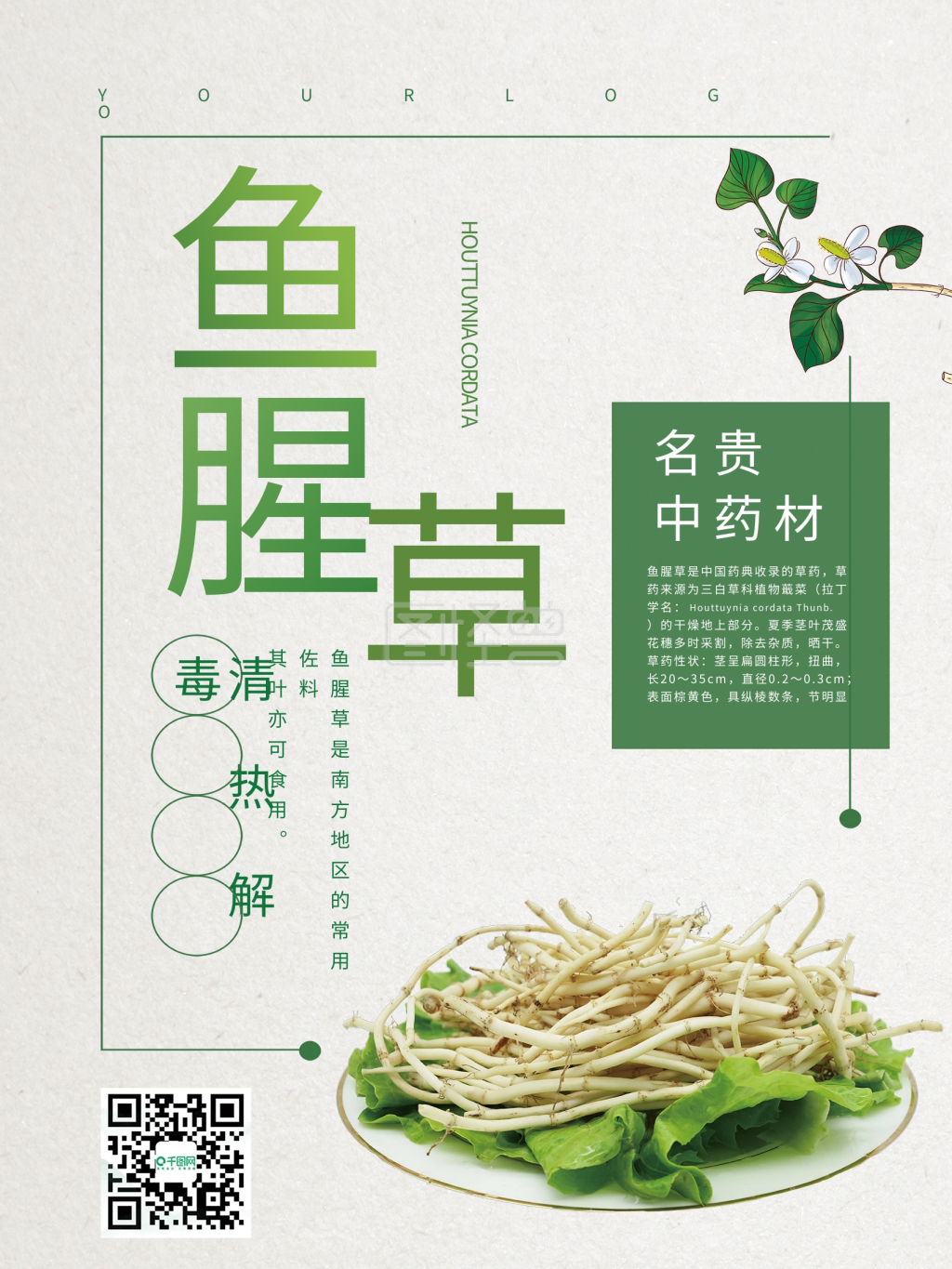 简约大气鱼腥草中药药材海报