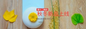 双十二衣服活动benner