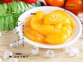 二十四节气处暑简约简介白色横版配图