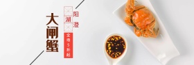 阳澄湖大闸蟹螃蟹海报模板