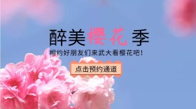 武大樱花节红包公众号封面