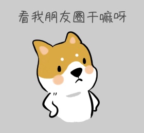 可爱熊朋友圈封面