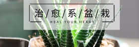 绿色治愈系盆栽海报