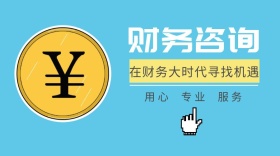 财务咨询商务服务