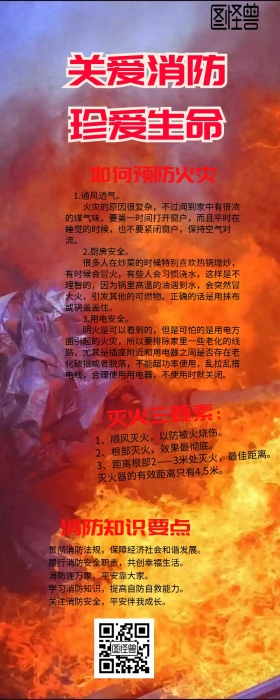 简约消防安全教育长图