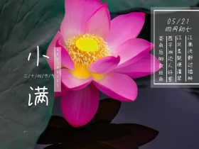 小满清新麦穗公众号配图