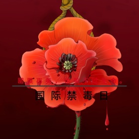 红色摄影罂粟国际禁毒日宣传公众号配图