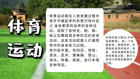 体育运动板报