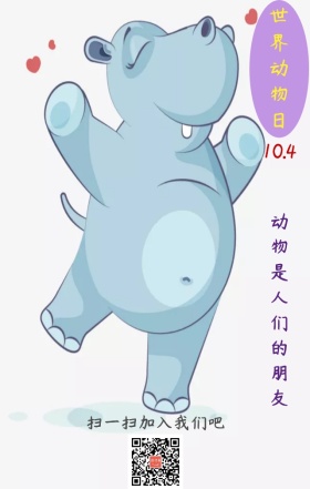 世界动物日手绘海报