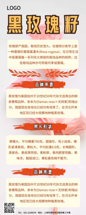 黑玫瑰籽营销长图