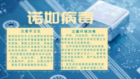 诺如病毒手抄报医疗