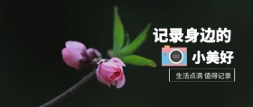小美好 记录身边的 生活点滴 值得记录 记录生活场景拍照日常公众号封面
