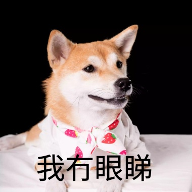 柴犬狗狗饿了逗比恶搞趣味手机表情包