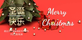 2018清新小女孩圣诞节公司宣传海报