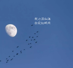 灰色暖心情话朋友圈封面