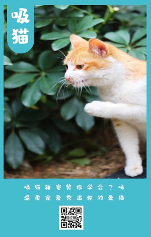 吸猫新姿势你学会了吗 温柔宠爱秀出你的爱猫 卡通宠物猫之日可爱手机