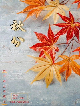 秋分节气唯美配图海报