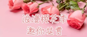 樱花季公众号封面