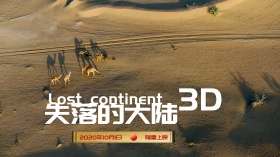 电影海报  