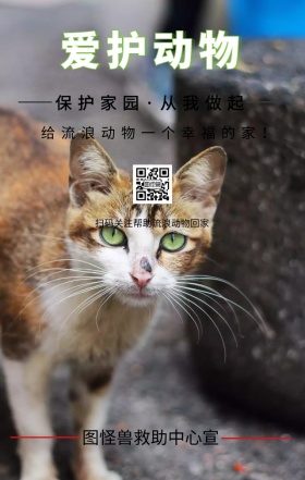 爱护动物手机海报