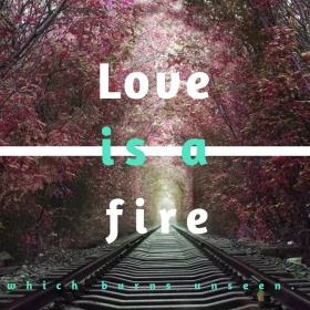 爱情火焰文艺小清新公众号正方形配图