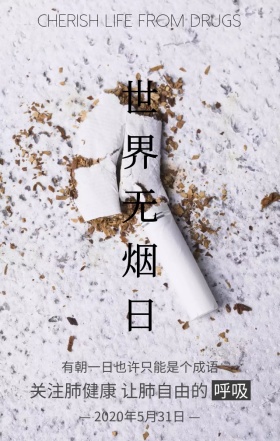 世界无烟日关注肺健康灰色简约手机海报