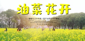 春天油菜花节海报