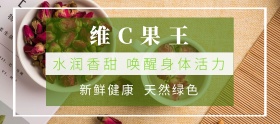 猕猴桃品质狂欢节绿色简约淘宝banner