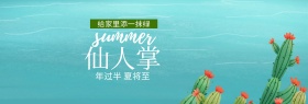 植物仙人掌粉丝狂欢节banner图片